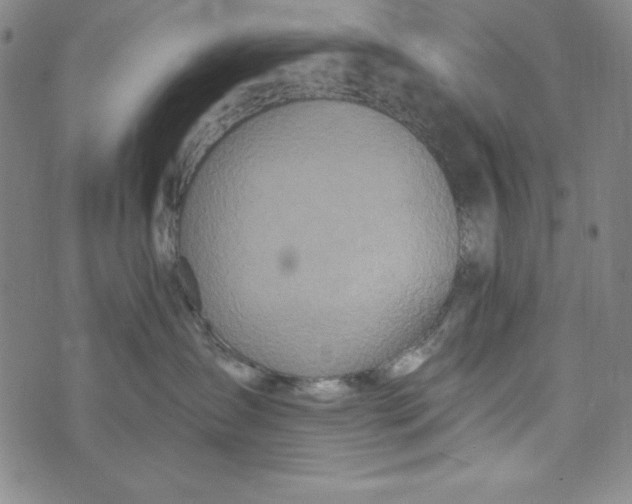 X0000074280431200609151856