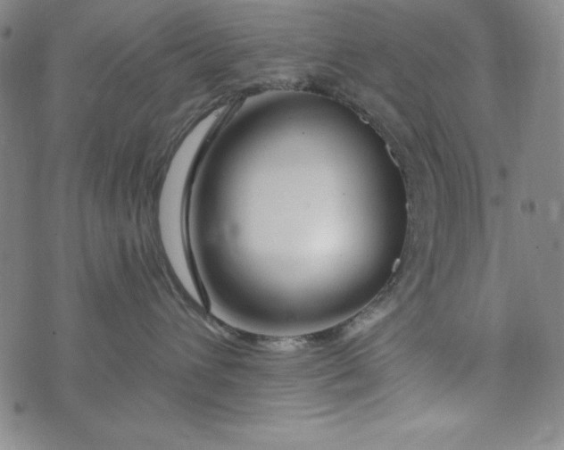 X0000074280432200609151856