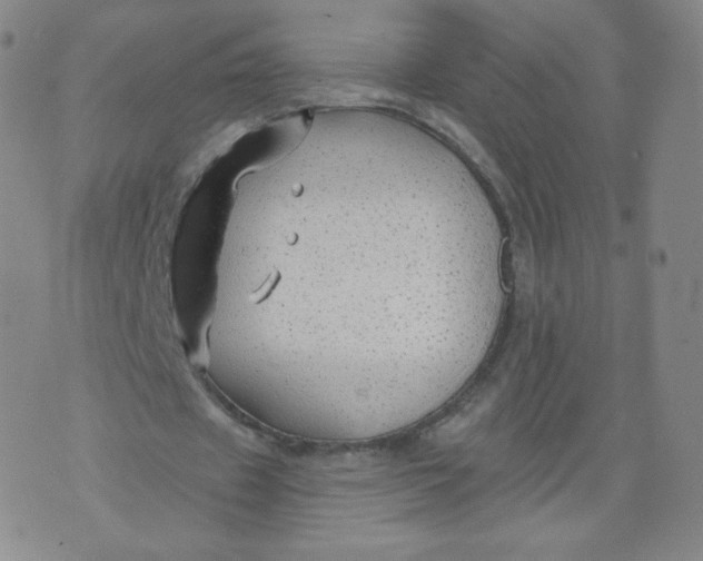 X0000074280433200609151856