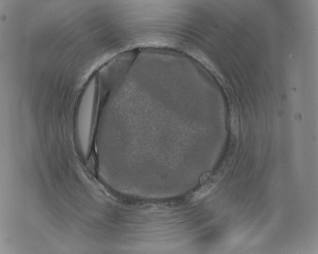 X0000074280434200609151856