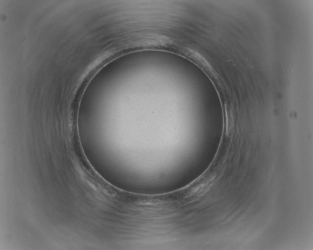 X0000074280435200609151856