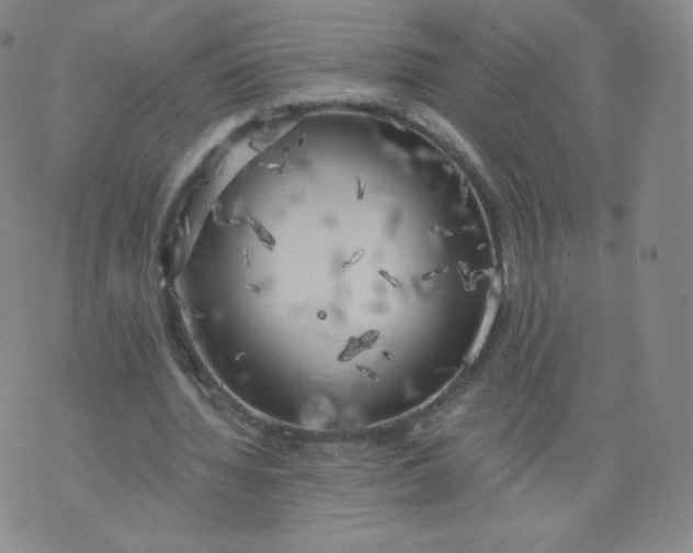 X0000074280436200609151856