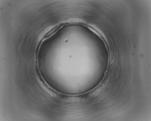 X0000074280437200609151856