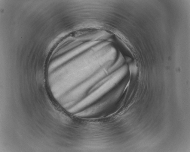 X0000074280438200609151856