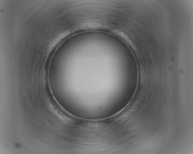 X0000074280439200609151856