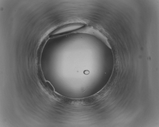 X0000074280440200609151856