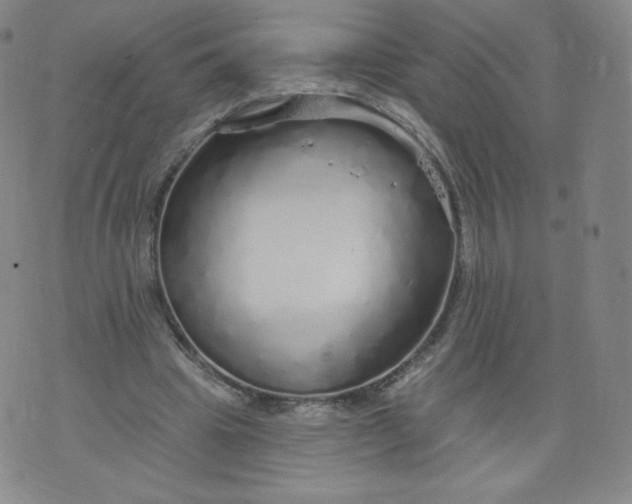 X0000074280441200609151856