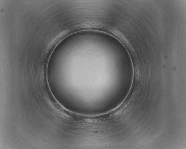 X0000074280442200609151856