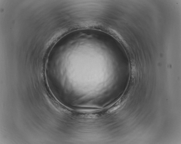 X0000074280443200609151856