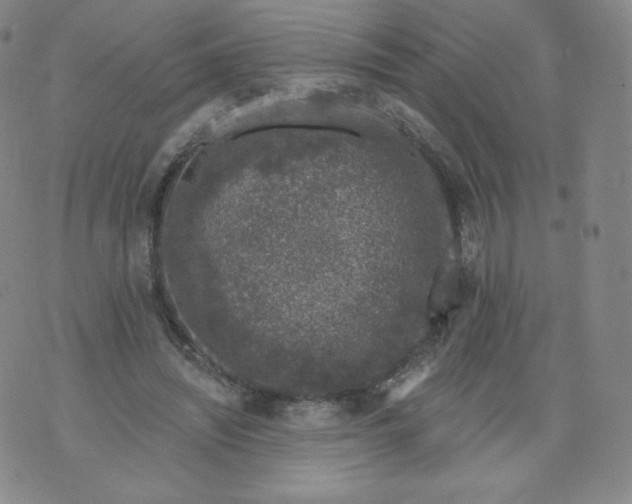 X0000074280444200609151856