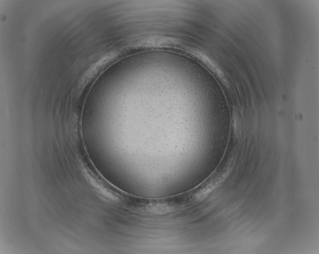 X0000074280445200609151856