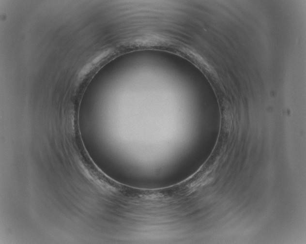 X0000074280446200609151856