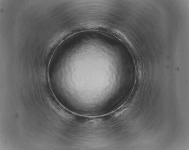 X0000074280447200609151856