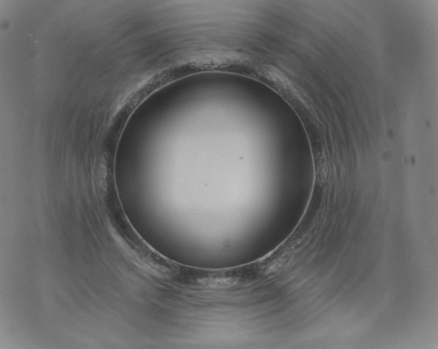 X0000074280448200609151856