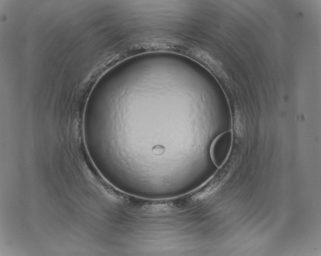 X0000074280449200609151856