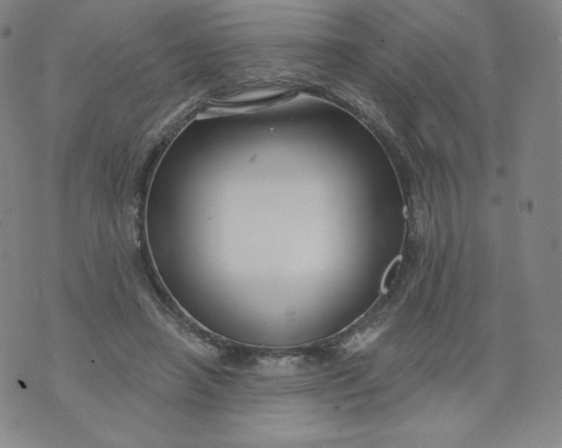 X0000074280450200609151856