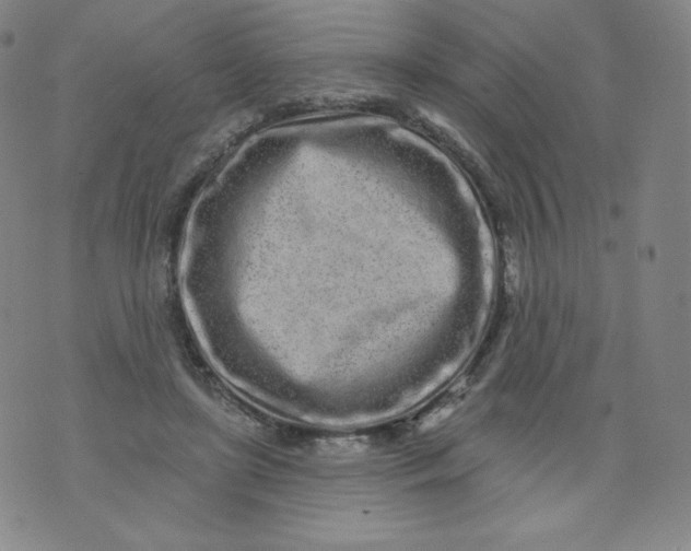 X0000074280451200609151856