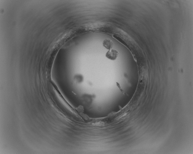 X0000074280452200609151856