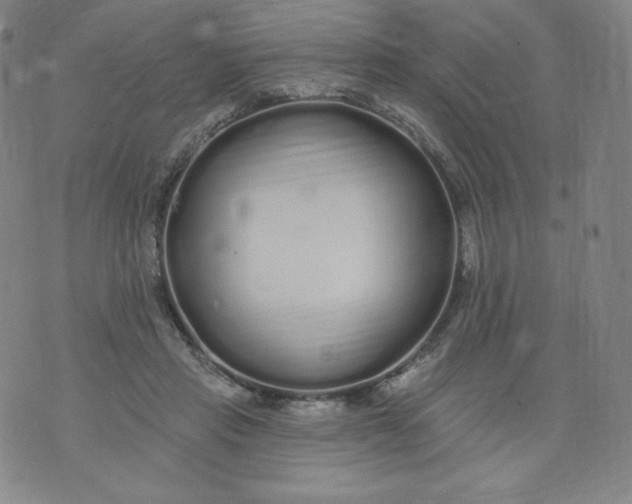 X0000074280453200609151856