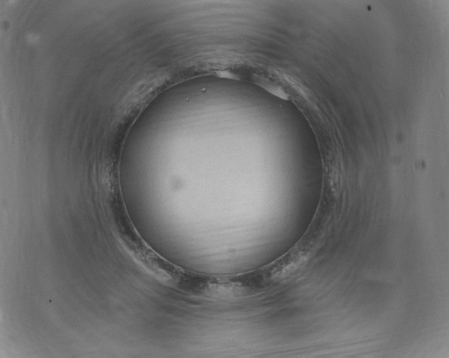 X0000074280455200609151856