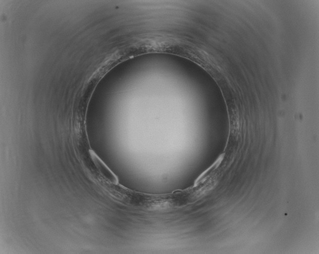 X0000074280456200609151856