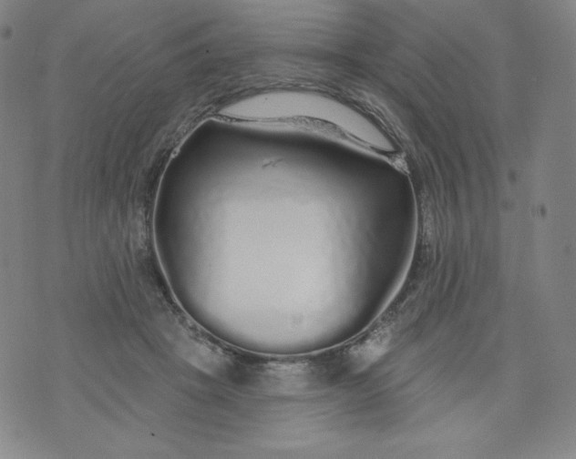 X0000074280457200609151856