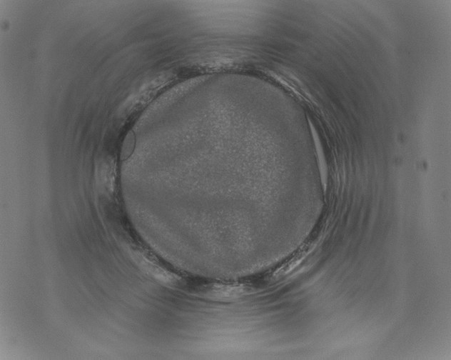 X0000074280458200609151856