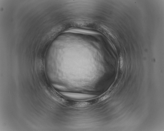 X0000074280459200609151856