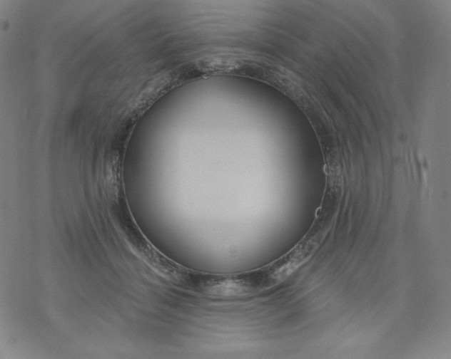 X0000074280460200609151856