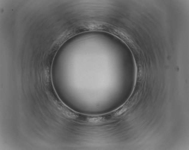 X0000074280461200609151856