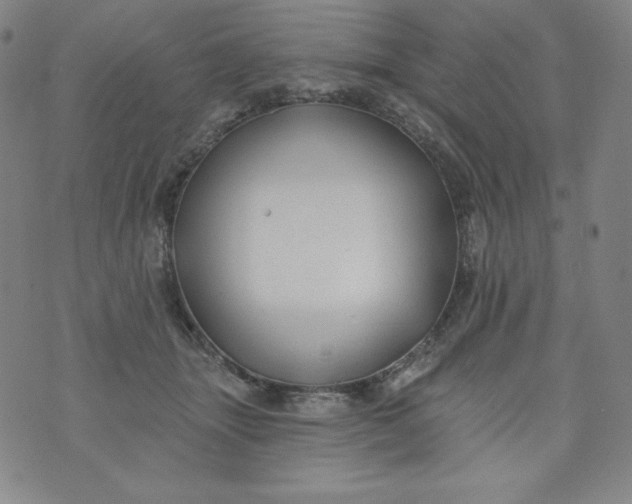 X0000074280463200609151856