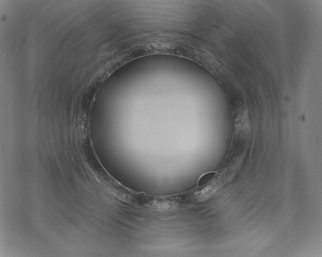 X0000074280464200609151856