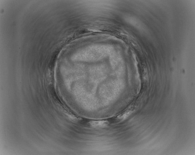 X0000074280465200609151856