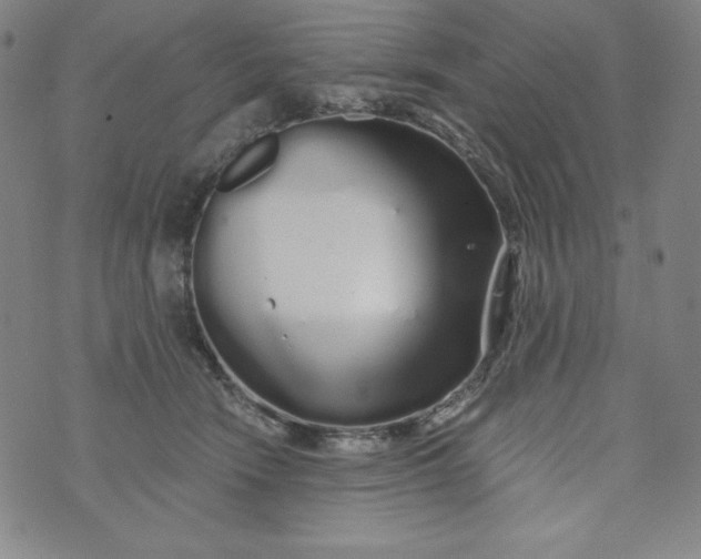 X0000074280466200609151856