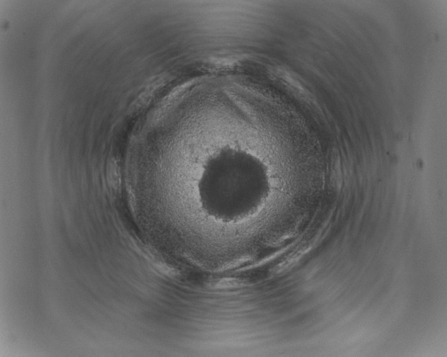 X0000074280467200609151856