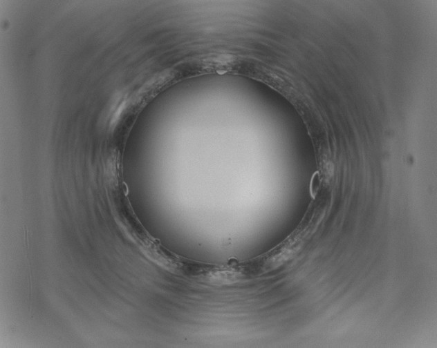 X0000074280468200609151856