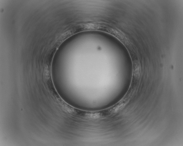 X0000074280469200609151856