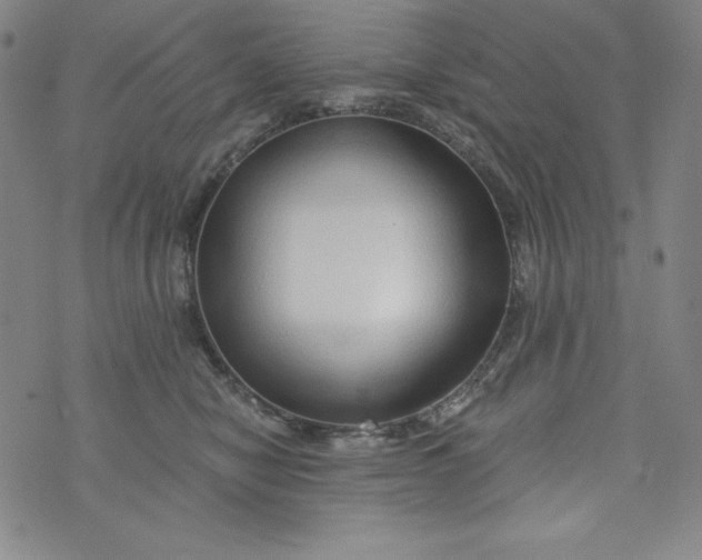 X0000074280470200609151856