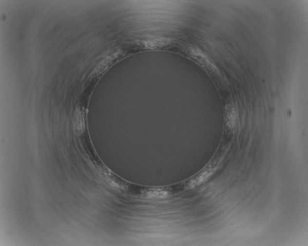 X0000074280471200609151856