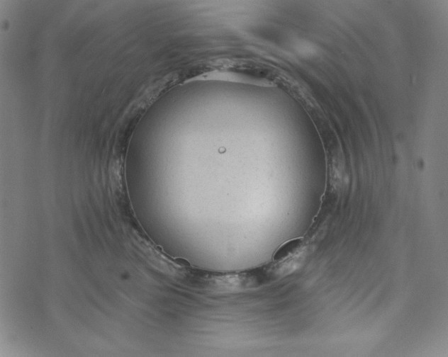 X0000074280473200609151856