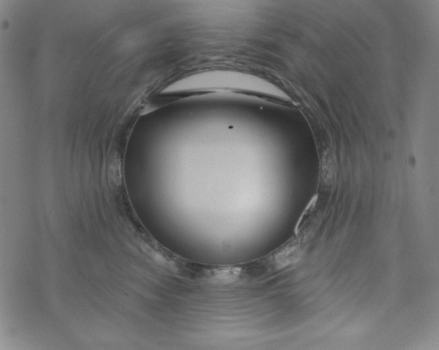 X0000074280474200609151856