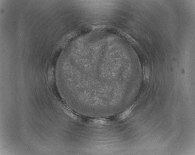 X0000074280475200609151856