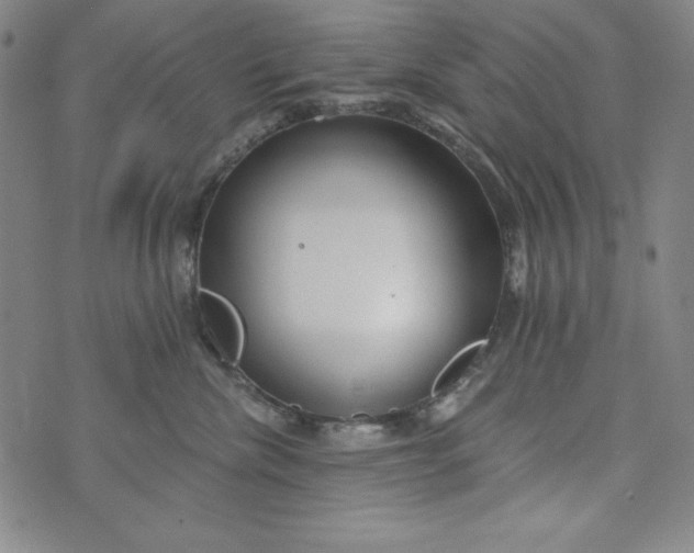 X0000074280476200609151856