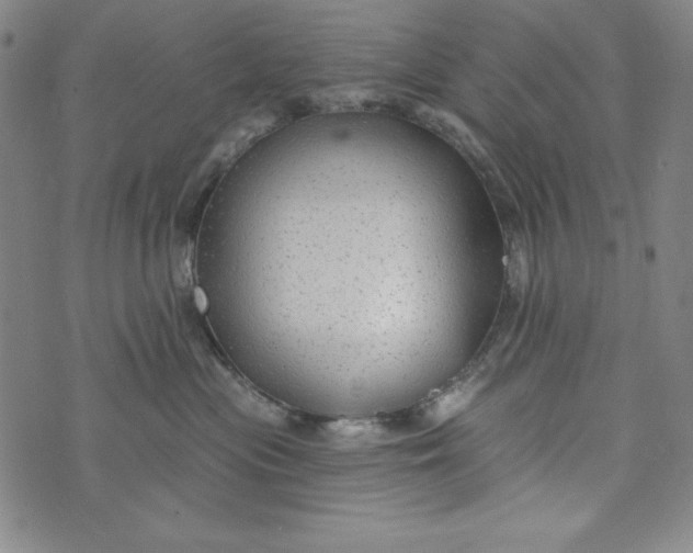 X0000074280477200609151856