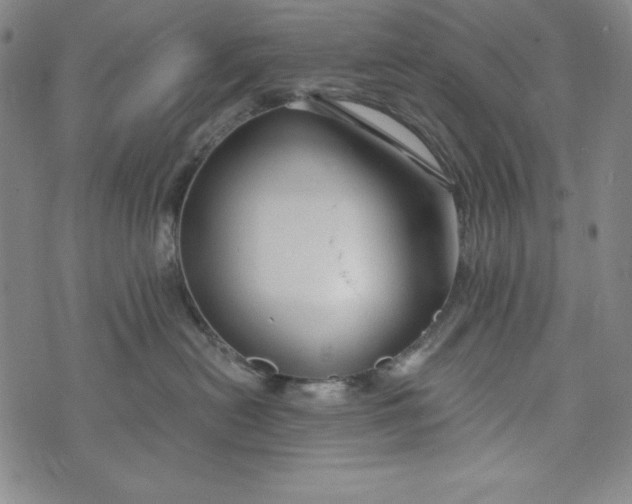 X0000074280478200609151856