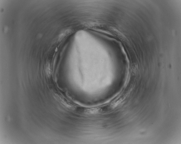 X0000074280479200609151856