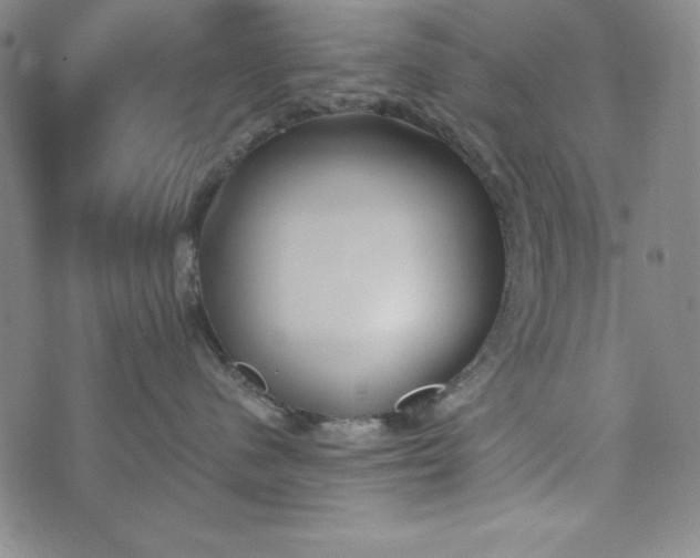 X0000074280480200609151856