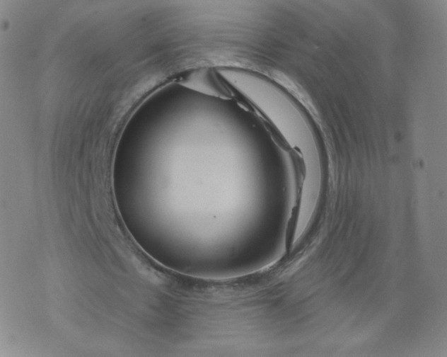 X0000074280481200609151856