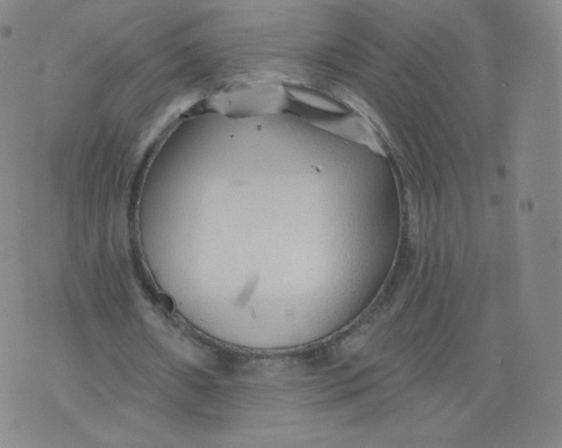 X0000074280482200609151856