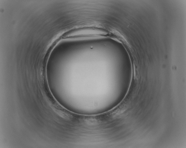 X0000074280483200609151856